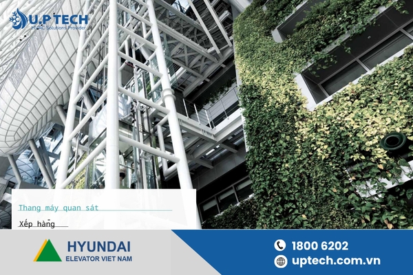 Observation ladder series OBSERVATION-Korea & China